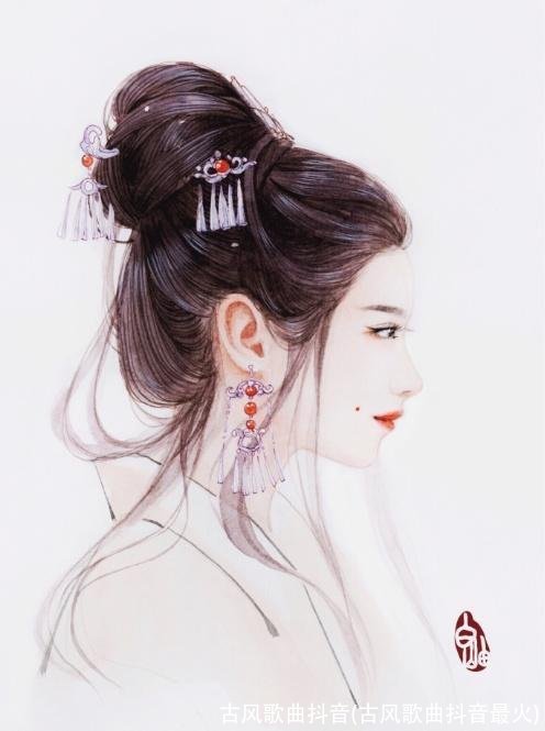 古风歌曲抖音(古风歌曲抖音最火)