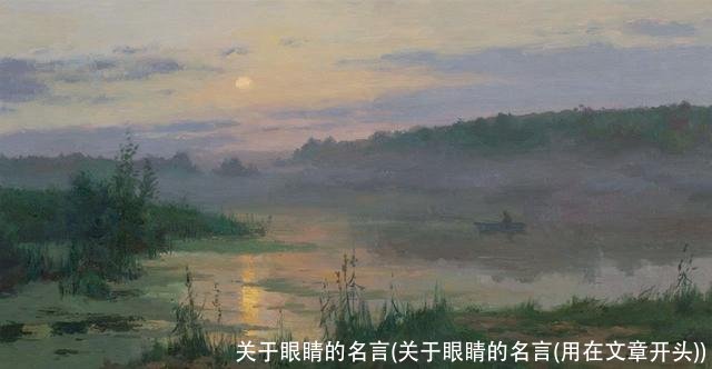 关于眼睛的名言(关于眼睛的名言(用在文章开头))