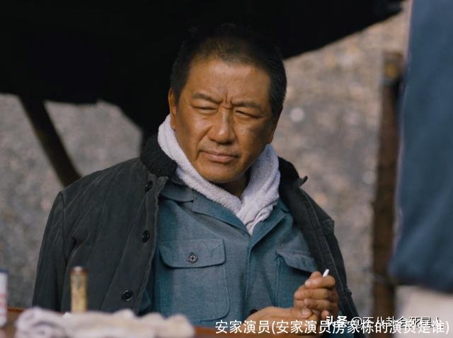 安家演员(安家演员房家栋的演员是谁)