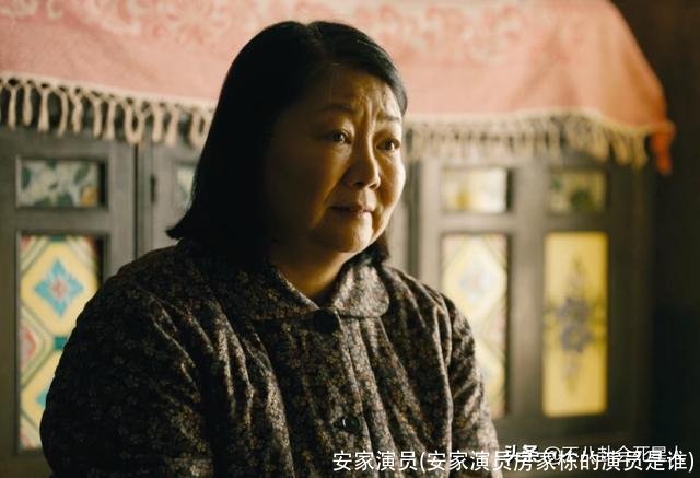 安家演员(安家演员房家栋的演员是谁)