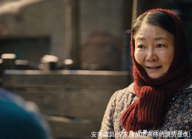 安家演员(安家演员房家栋的演员是谁)