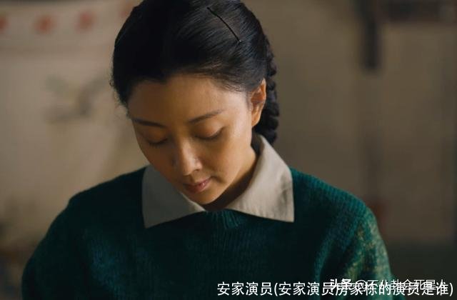 安家演员(安家演员房家栋的演员是谁)