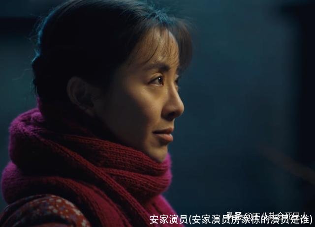 安家演员(安家演员房家栋的演员是谁)