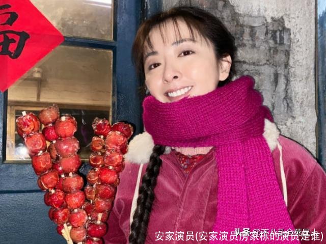 安家演员(安家演员房家栋的演员是谁)