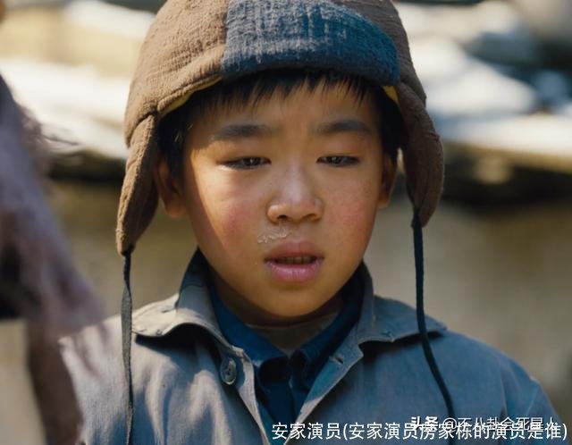 安家演员(安家演员房家栋的演员是谁)