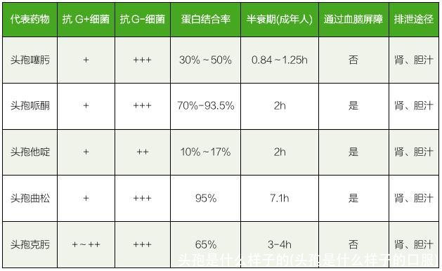 头孢是什么样子的(头孢是什么样子的口服)