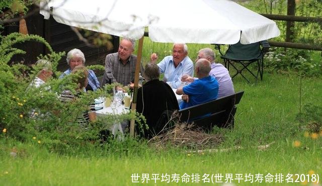 世界平均寿命排名(世界平均寿命排名2018)