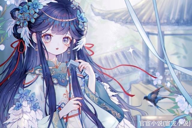 官宦小说(宦宠小说)