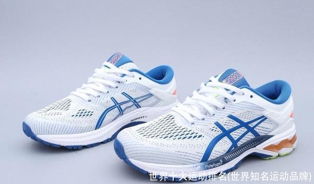世界十大运动排名(世界知名运动品牌)