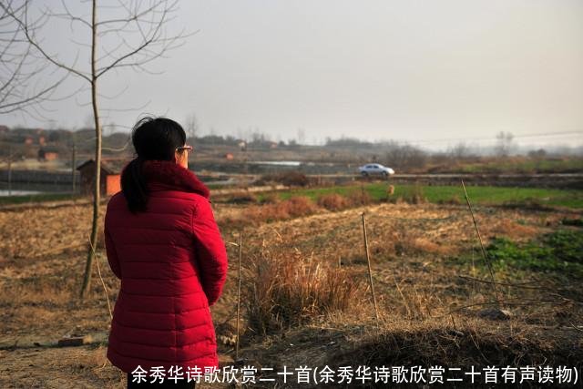 余秀华诗歌欣赏二十首(余秀华诗歌欣赏二十首有声读物)