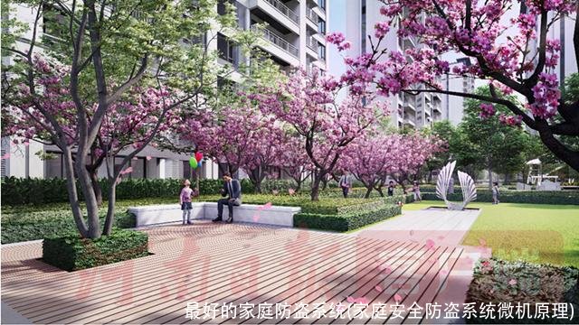 最好的家庭防盗系统(家庭安全防盗系统微机原理)