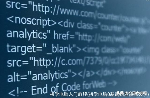 初学电脑入门教程(初学电脑0基础的应该怎么学)