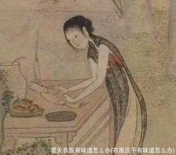 夏天衣服有味道怎么办(衣服没干有味道怎么办)