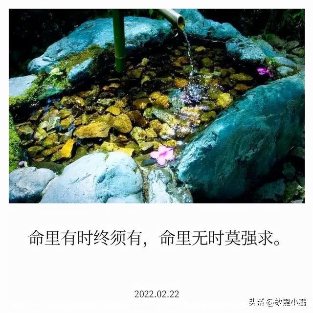 享受一个人独处的句子(享受一个人独处的句子短享受片刻惬意的生活)