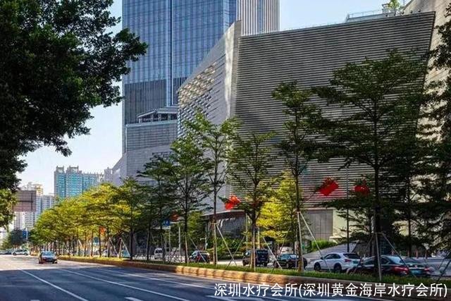 深圳水疗会所(深圳黄金海岸水疗会所)