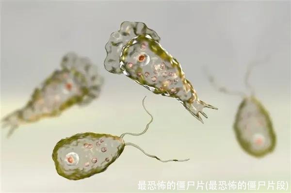 最恐怖的僵尸片(最恐怖的僵尸片段)