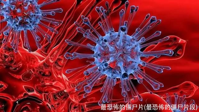 最恐怖的僵尸片(最恐怖的僵尸片段)