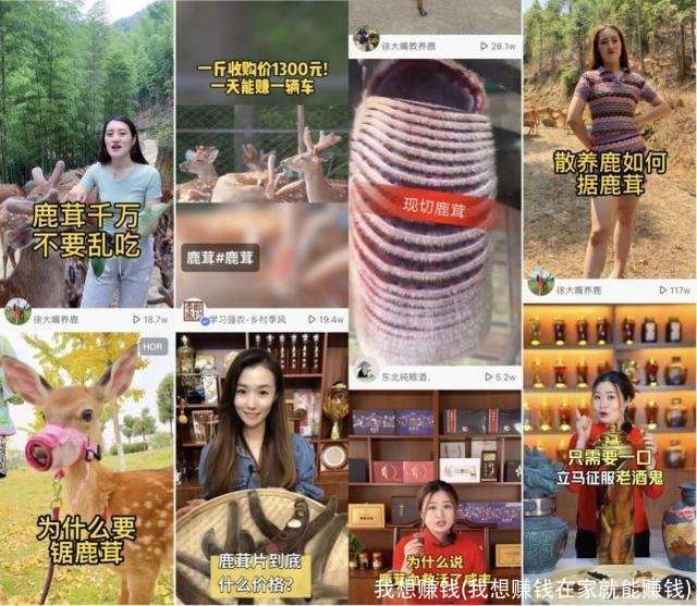 我想赚钱(我想赚钱在家就能赚钱)