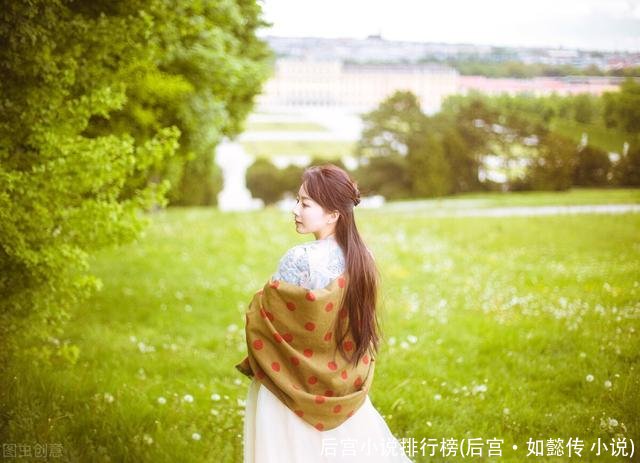 后宫小说排行榜(后宫·如懿传 小说)
