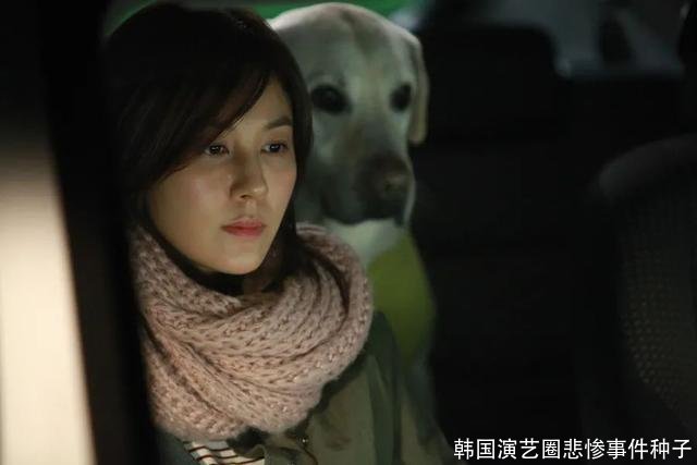 韩国演艺圈悲惨事件种子
