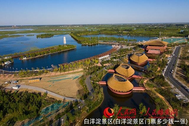 白洋淀景区(白洋淀景区门票多少钱一张)