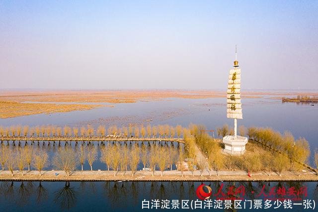 白洋淀景区(白洋淀景区门票多少钱一张)