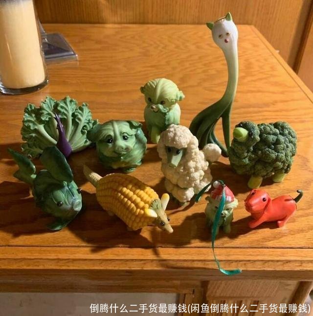 倒腾什么二手货最赚钱(闲鱼倒腾什么二手货最赚钱)