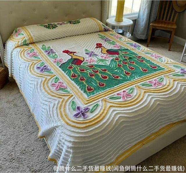 倒腾什么二手货最赚钱(闲鱼倒腾什么二手货最赚钱)