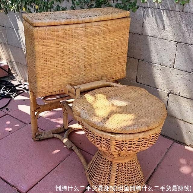 倒腾什么二手货最赚钱(闲鱼倒腾什么二手货最赚钱)