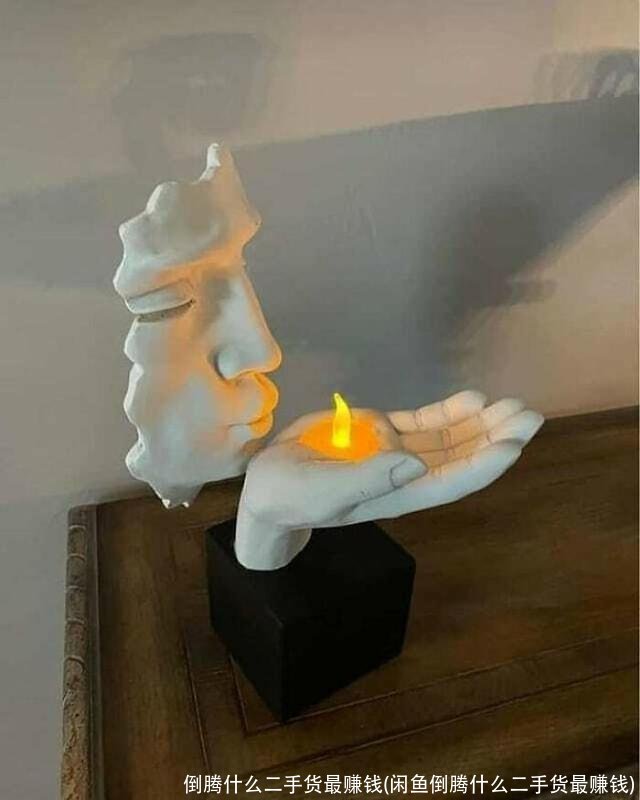 倒腾什么二手货最赚钱(闲鱼倒腾什么二手货最赚钱)