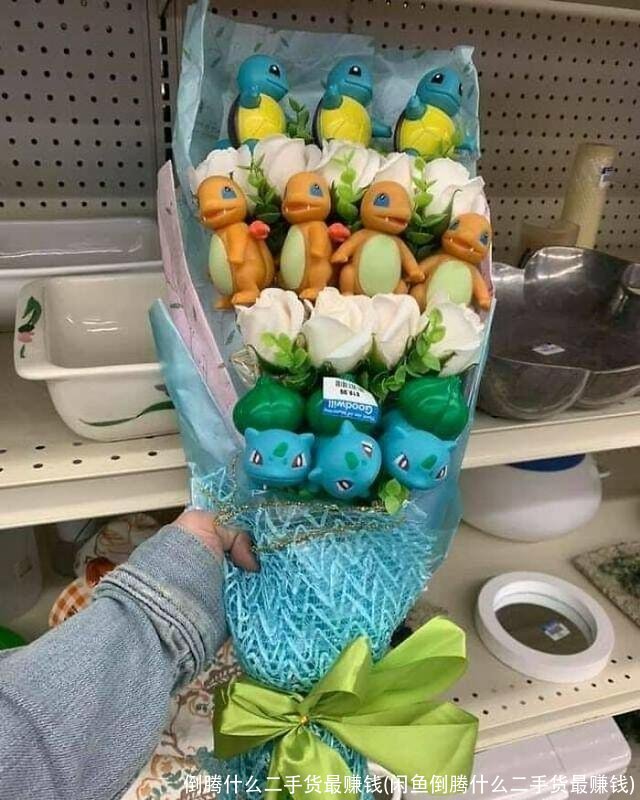 倒腾什么二手货最赚钱(闲鱼倒腾什么二手货最赚钱)