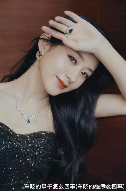 车晓的鼻子怎么回事(车晓的腿怎么回事)