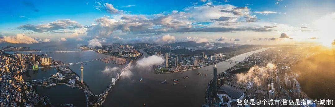 鹭岛是哪个城市(鹭岛是指哪个城市)