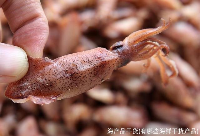 海产品干货(有哪些海鲜干货产品)