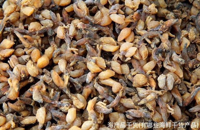 海产品干货(有哪些海鲜干货产品)