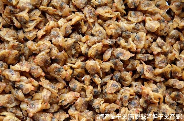 海产品干货(有哪些海鲜干货产品)