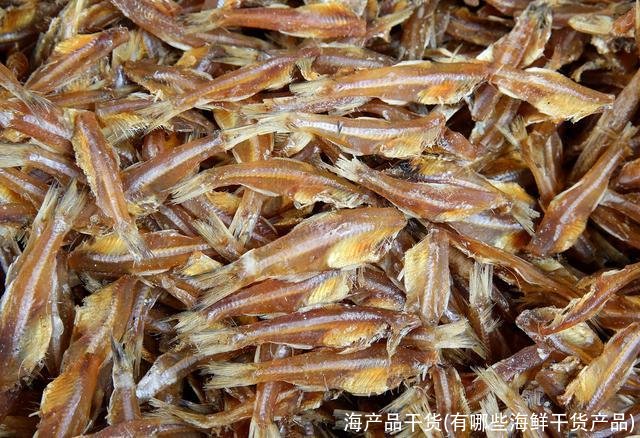 海产品干货(有哪些海鲜干货产品)