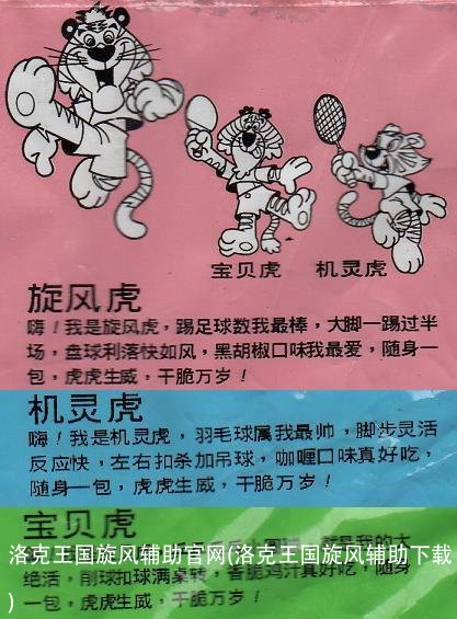 洛克王国旋风辅助官网(洛克王国旋风辅助下载)