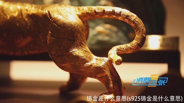 铸金是什么意思(s925铸金是什么意思)