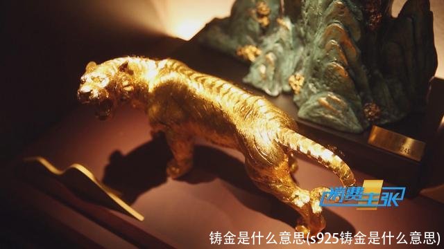 铸金是什么意思(s925铸金是什么意思)