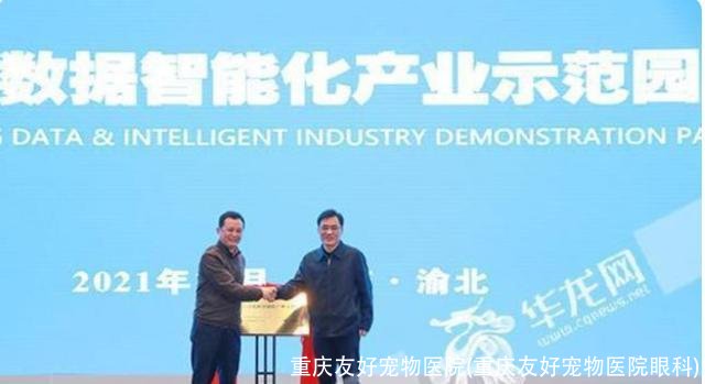 重庆友好宠物医院(重庆友好宠物医院眼科)