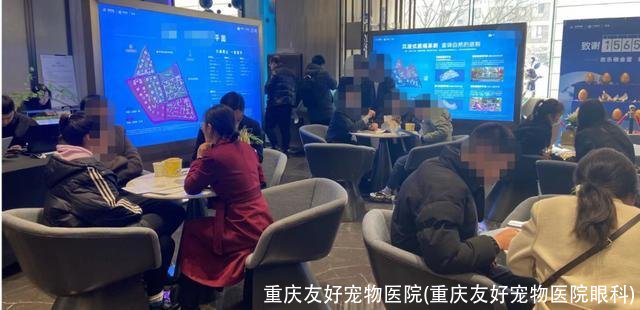 重庆友好宠物医院(重庆友好宠物医院眼科)