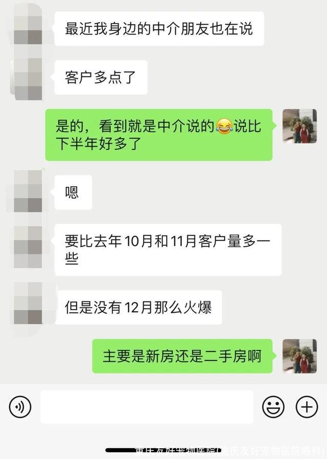 重庆友好宠物医院(重庆友好宠物医院眼科)