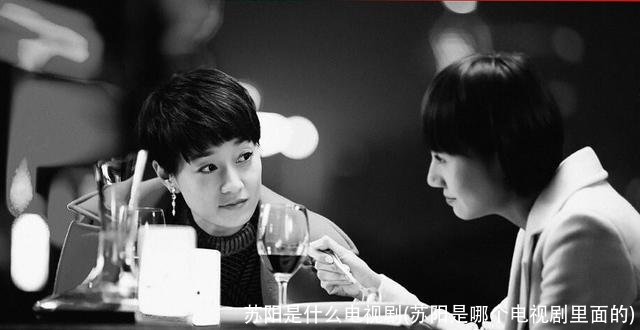 苏阳是什么电视剧(苏阳是哪个电视剧里面的)