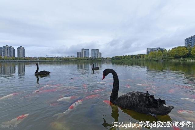 遵义gdp(遵义gdp2021多少亿)