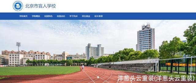 洋葱头云重装(洋葱头云重装)