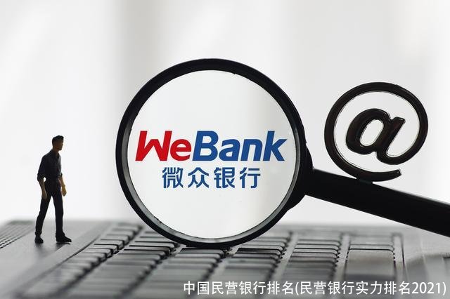 中国民营银行排名(民营银行实力排名2021)