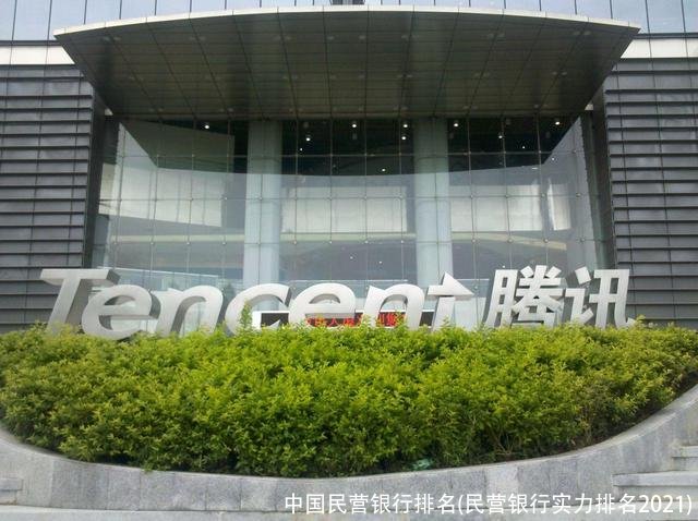 中国民营银行排名(民营银行实力排名2021)
