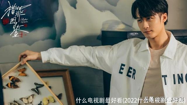 什么电视剧最好看(2022什么电视剧最好看)