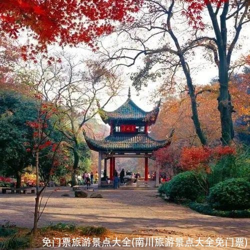 免门票旅游景点大全(南川旅游景点大全免门票)